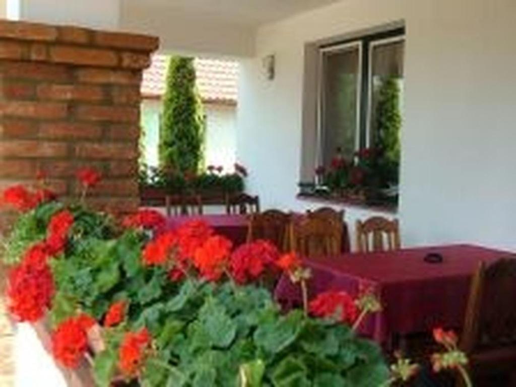 Verba Tanya Bed & Breakfast Kotaj Exterior foto